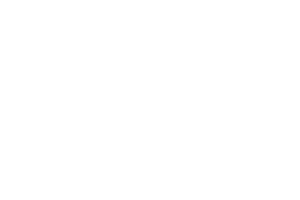 Avalon Stoves