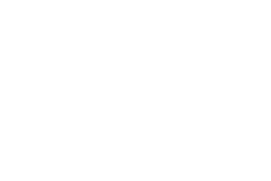 Burley Fires