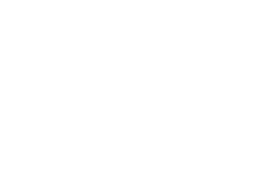 Cleanburn Stoves