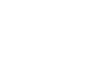 Dik Geurts Stoves