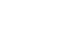 Ekofires