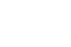 Firebelly Stoves