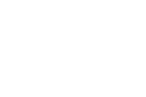 Flavel Fires