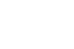 Hunter Stoves