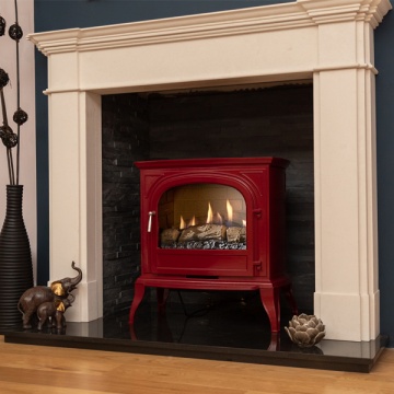 Ekofires 6010 Flueless Gas Stove