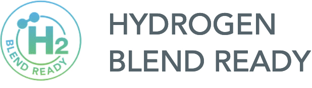 Hydrogen Blend Ready Gas Fire